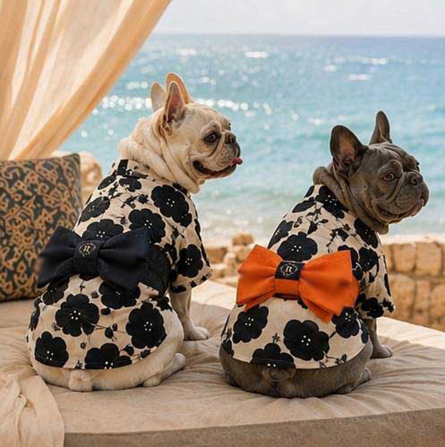 Resort Yukata ◇RIO STYLE◇ -Dog Resort Wear-