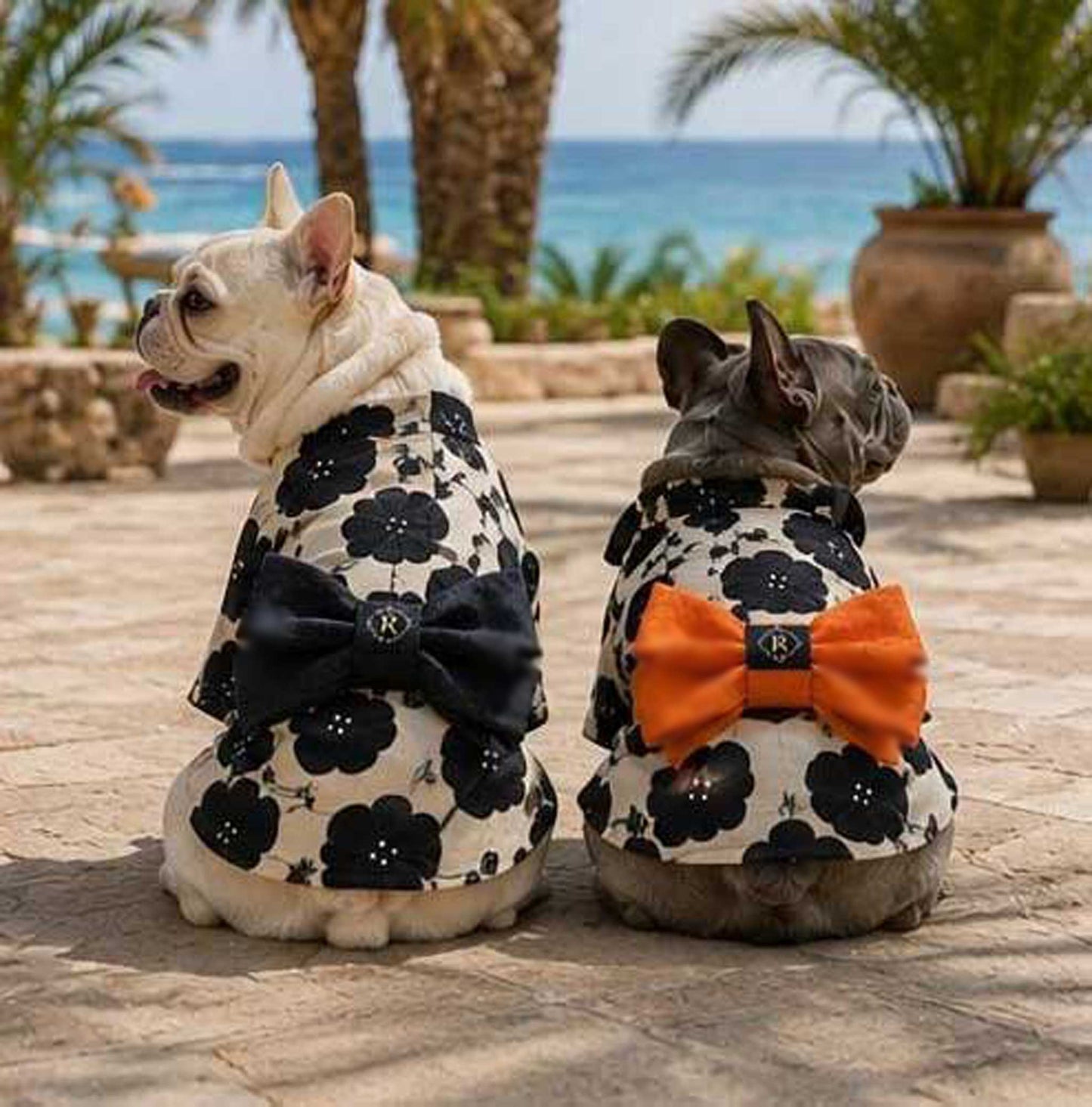 Resort Yukata ◇RIO STYLE◇ -Dog Resort Wear-