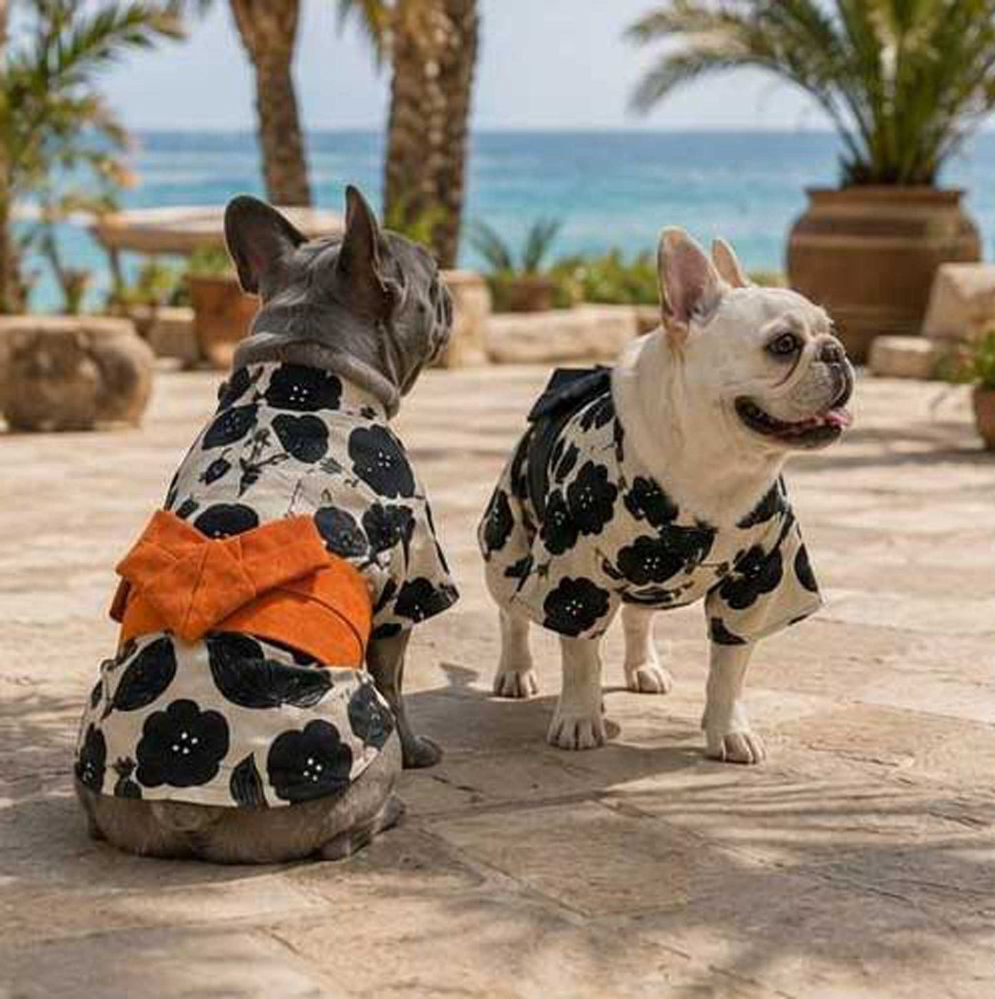 Resort Yukata ◇RIO STYLE◇ -Dog Resort Wear-