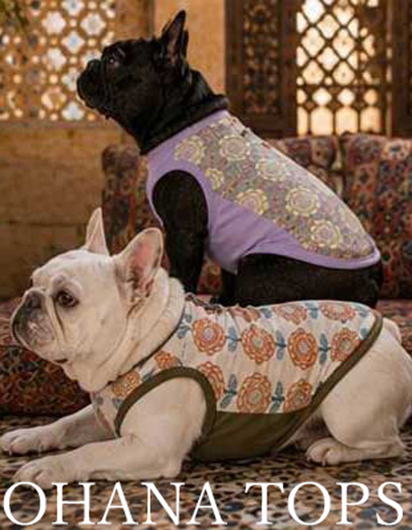 OHANA Tops◇RIO STYLE◇-dog resort wear-