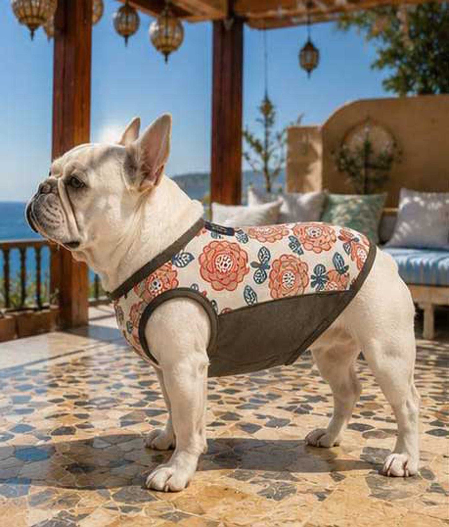 OHANA Tops◇RIO STYLE◇-dog resort wear-