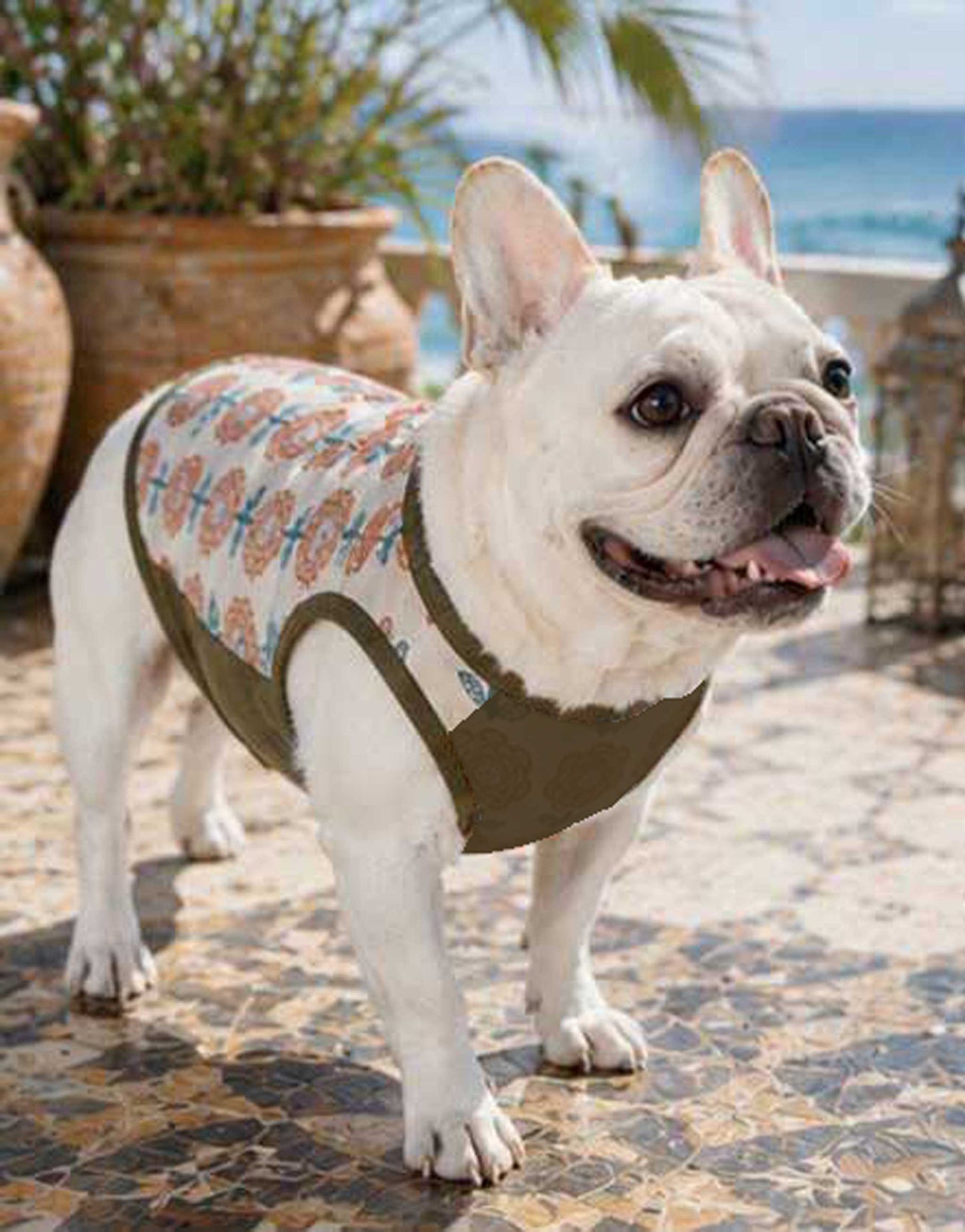 OHANA Tops◇RIO STYLE◇-dog resort wear-