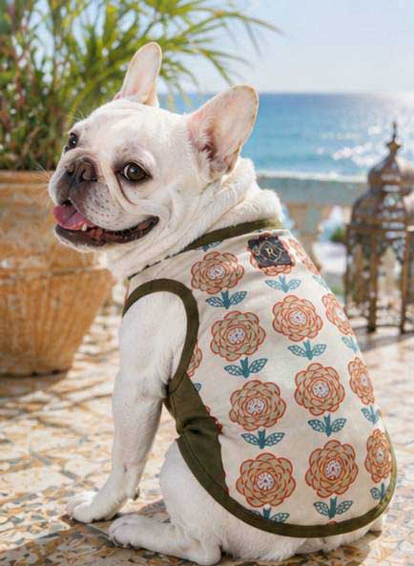OHANA Tops◇RIO STYLE◇-dog resort wear-