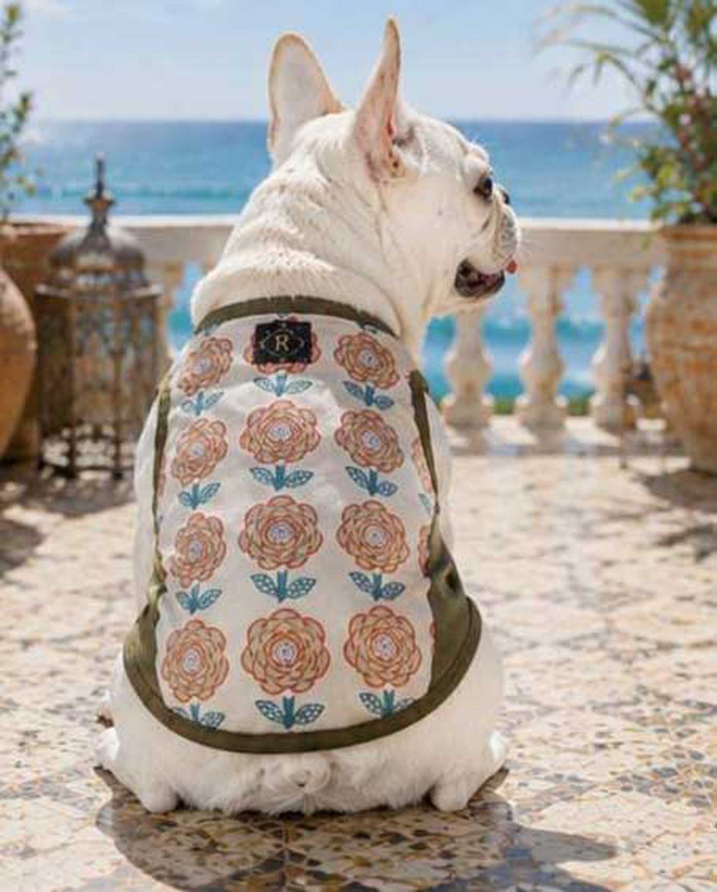 OHANA Tops◇RIO STYLE◇-dog resort wear-