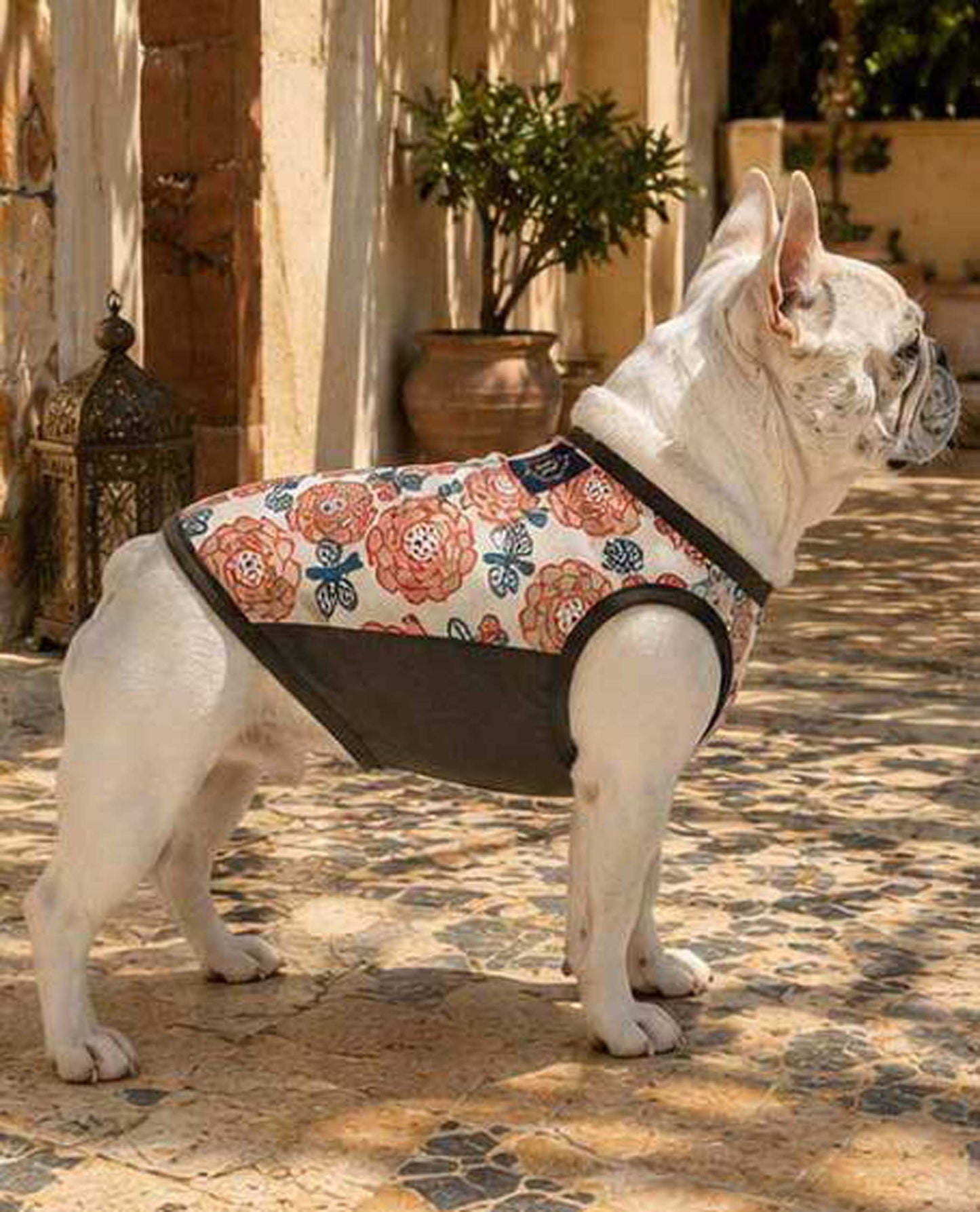 OHANA Tops◇RIO STYLE◇-dog resort wear-