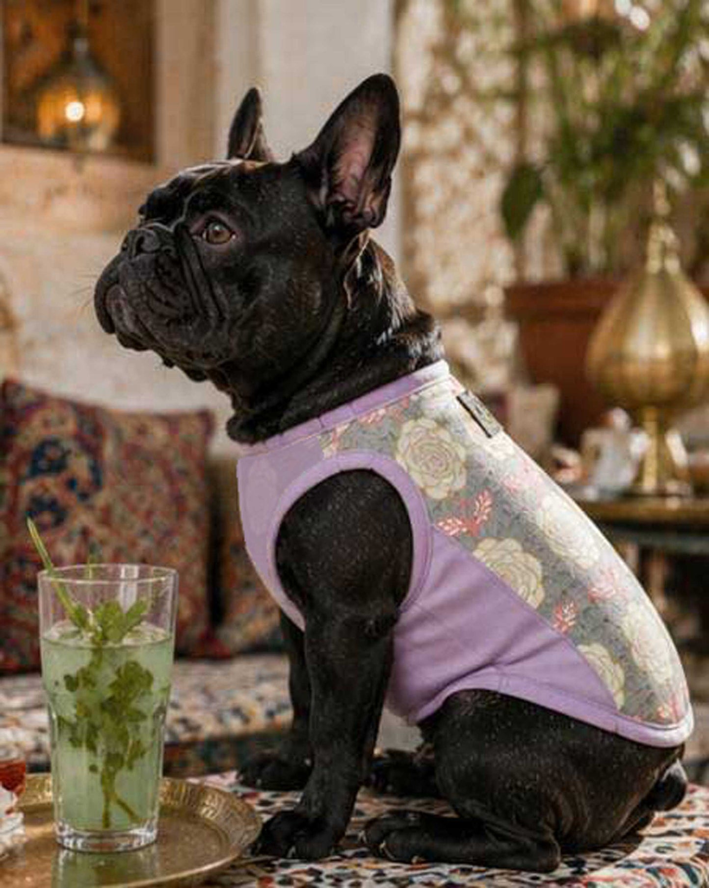 OHANA Tops◇RIO STYLE◇-dog resort wear-
