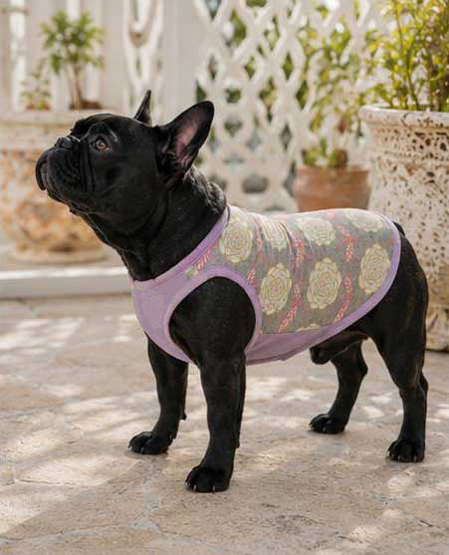 OHANA Tops◇RIO STYLE◇-dog resort wear-