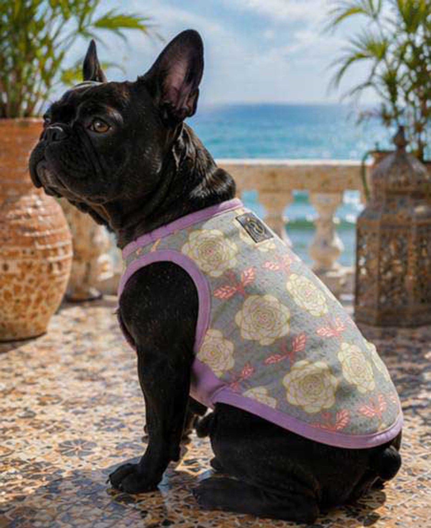 OHANA Tops◇RIO STYLE◇-dog resort wear-
