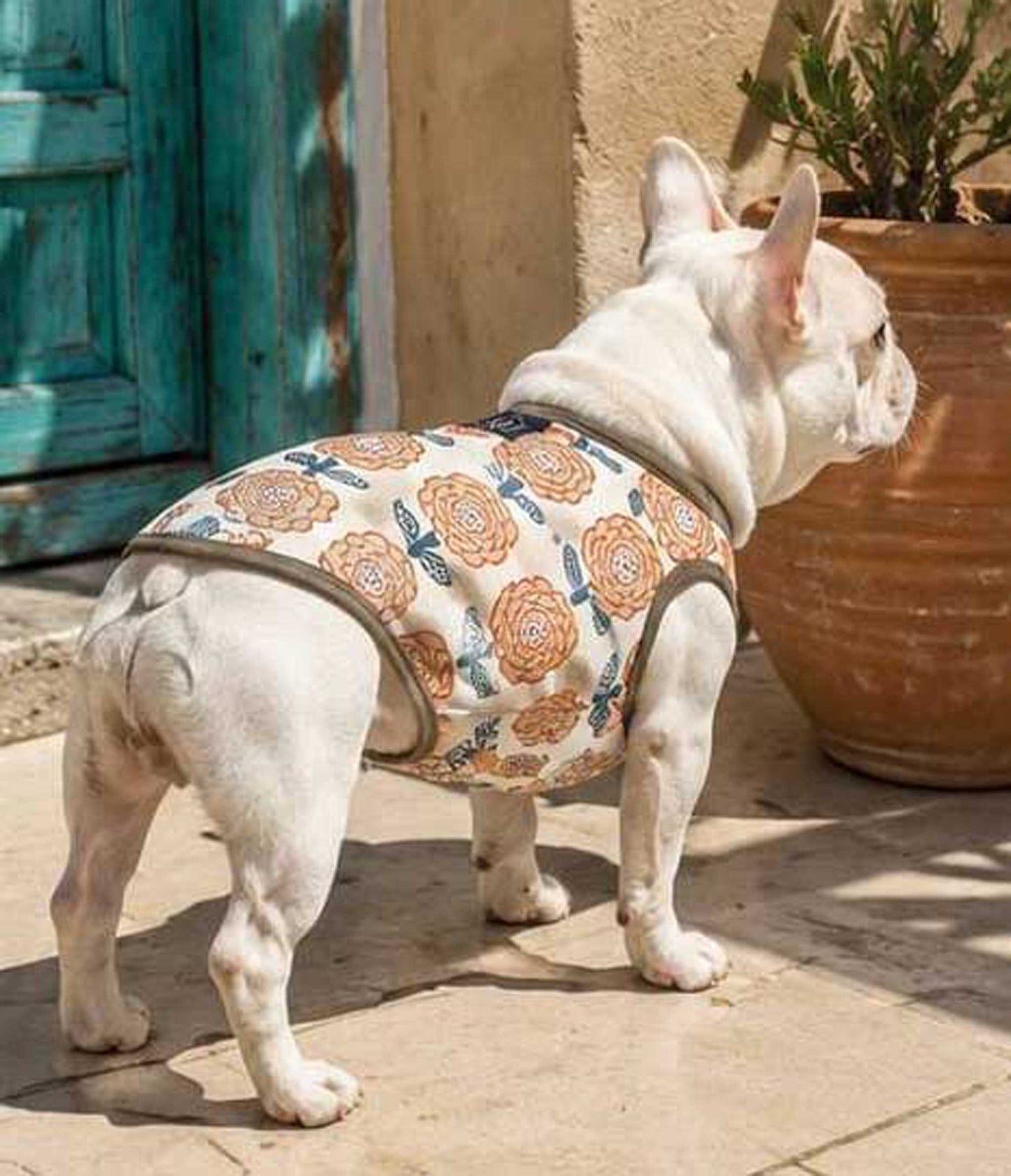 OHANA Tops◇RIO STYLE◇-dog resort wear-