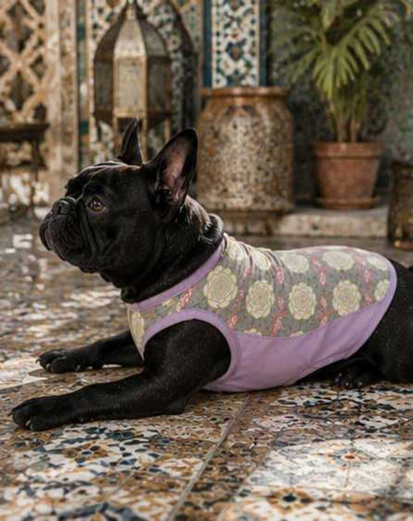 OHANA Tops◇RIO STYLE◇-dog resort wear-