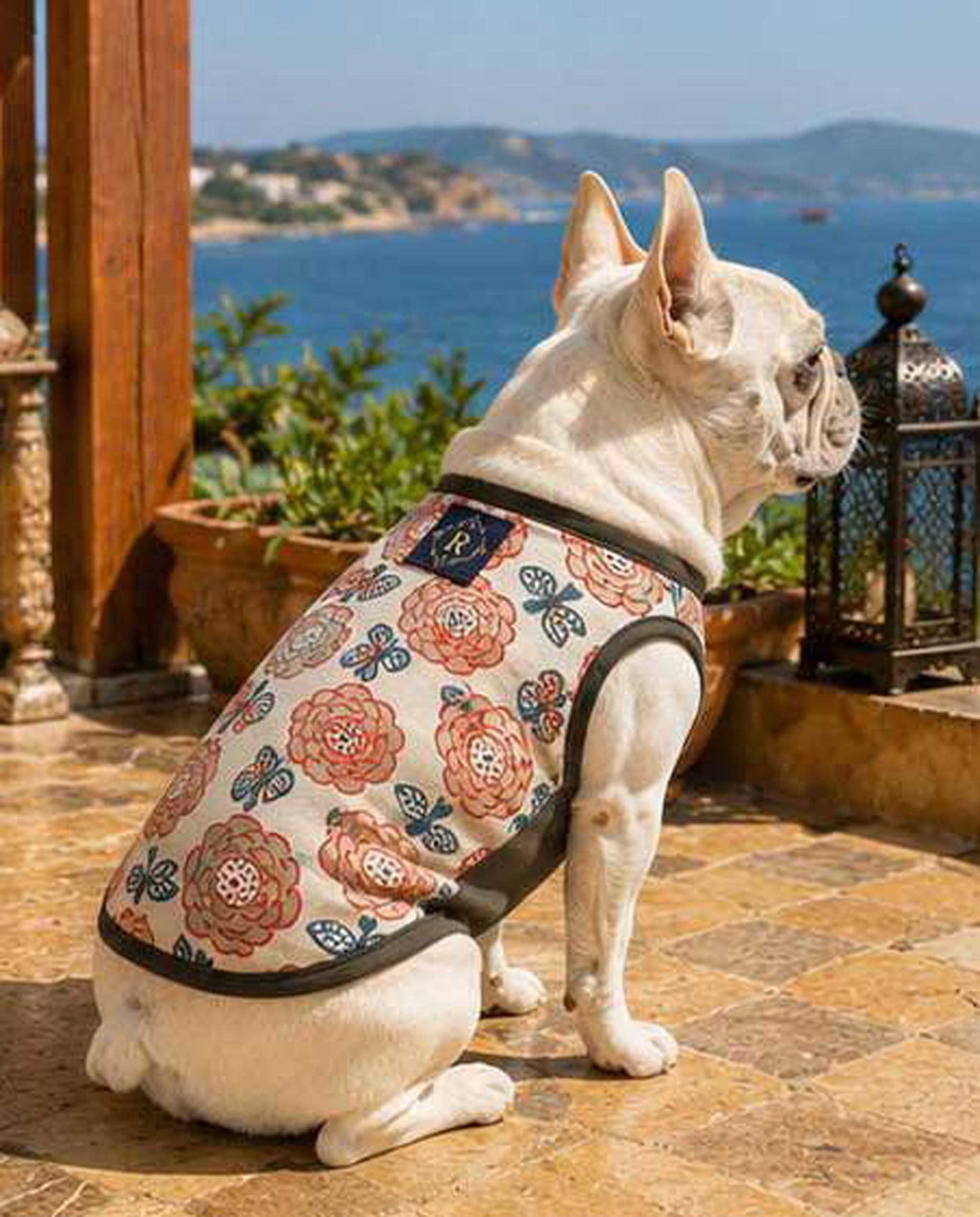 OHANA Tops◇RIO STYLE◇-dog resort wear-
