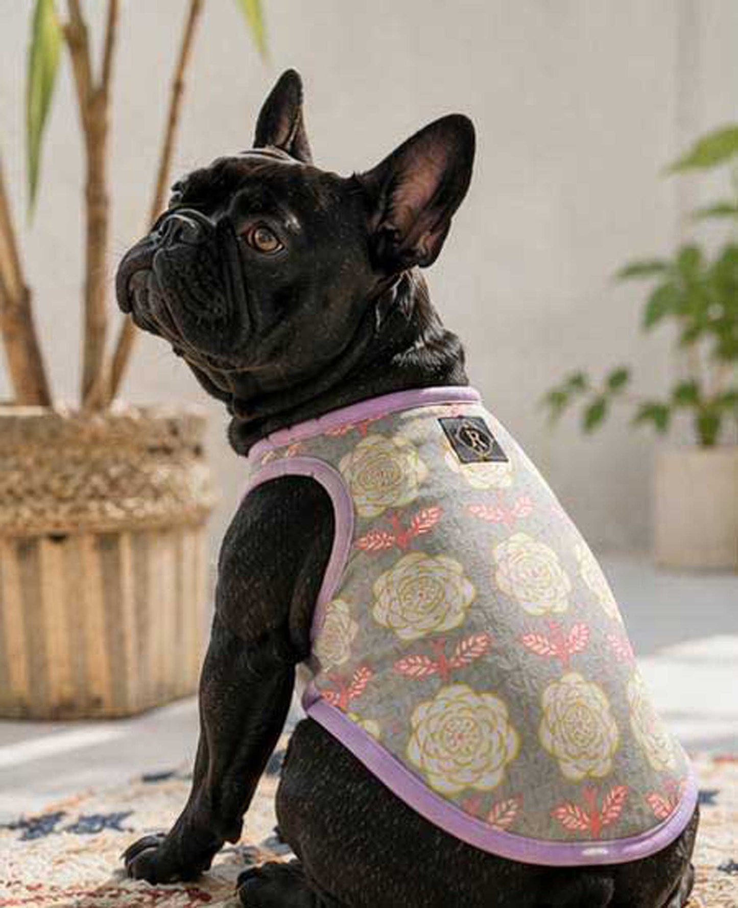 OHANA Tops◇RIO STYLE◇-dog resort wear-