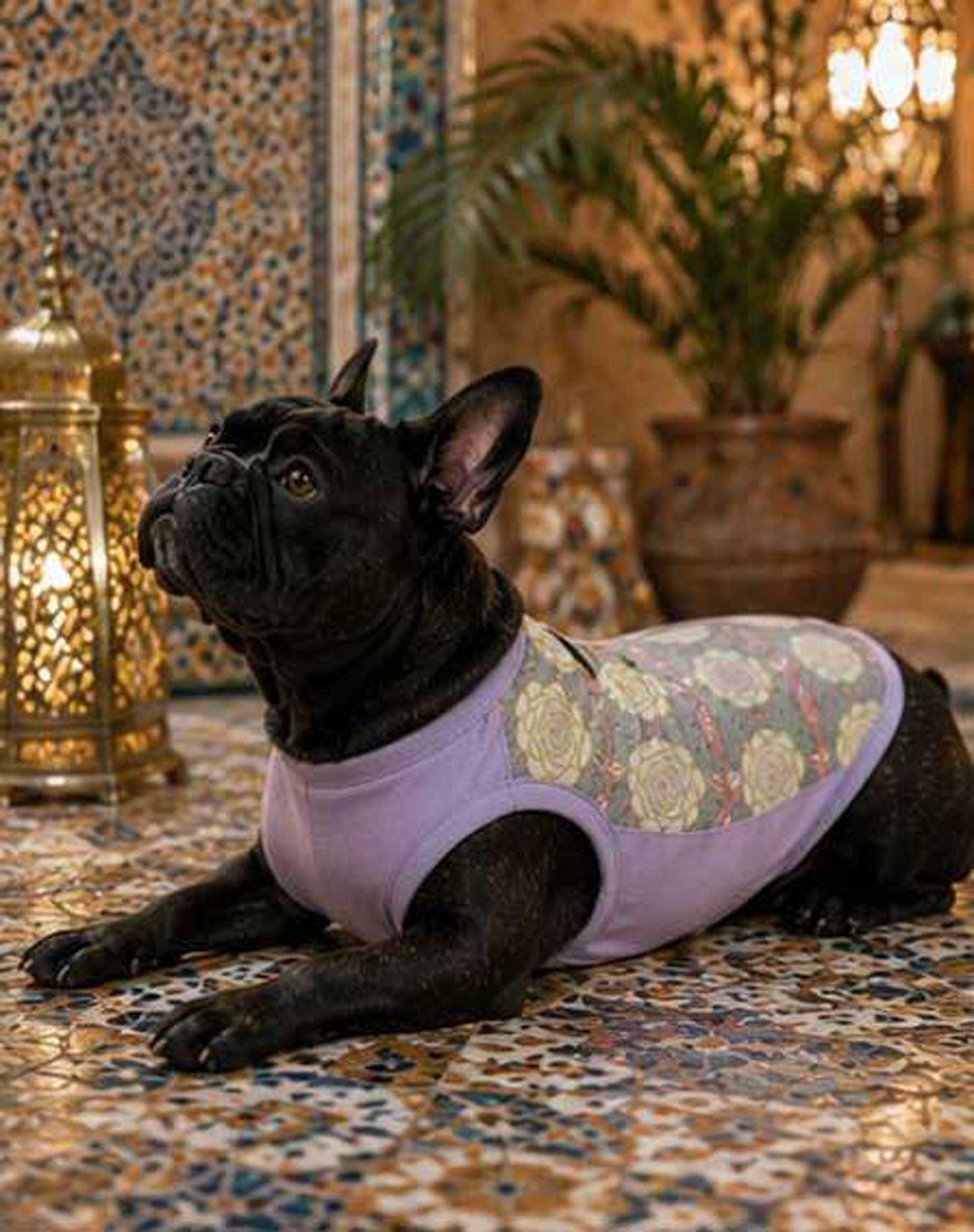 OHANA Tops◇RIO STYLE◇-dog resort wear-