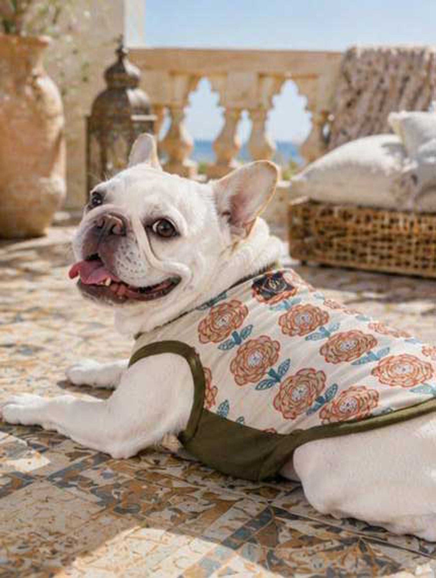 OHANA Tops◇RIO STYLE◇-dog resort wear-