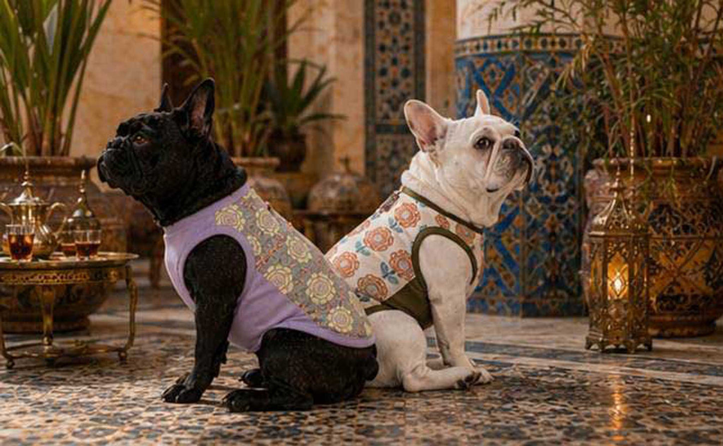 OHANA Tops◇RIO STYLE◇-dog resort wear-