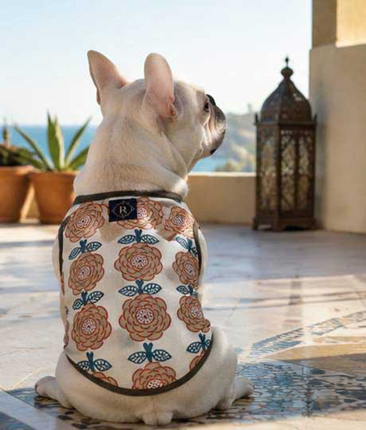 OHANA Tops◇RIO STYLE◇-dog resort wear-