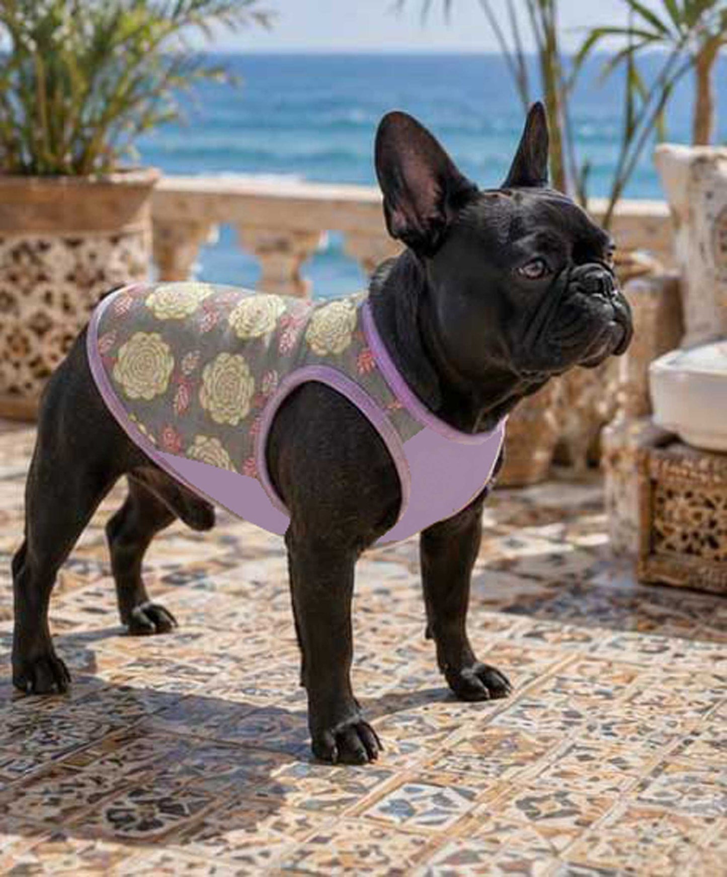 OHANA Tops◇RIO STYLE◇-dog resort wear-