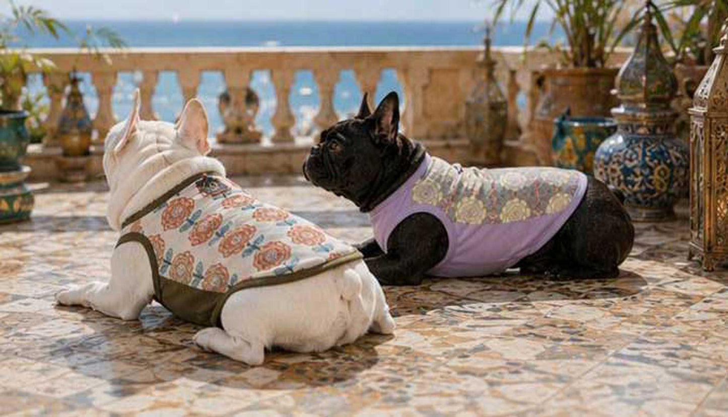 OHANA Tops◇RIO STYLE◇-dog resort wear-