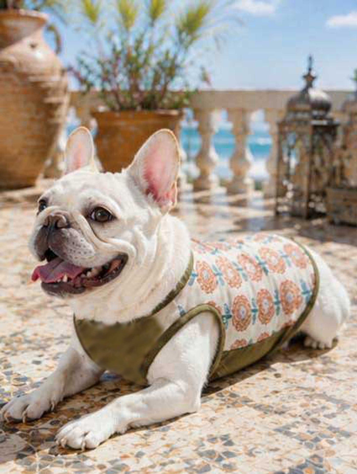 OHANA Tops◇RIO STYLE◇-dog resort wear-