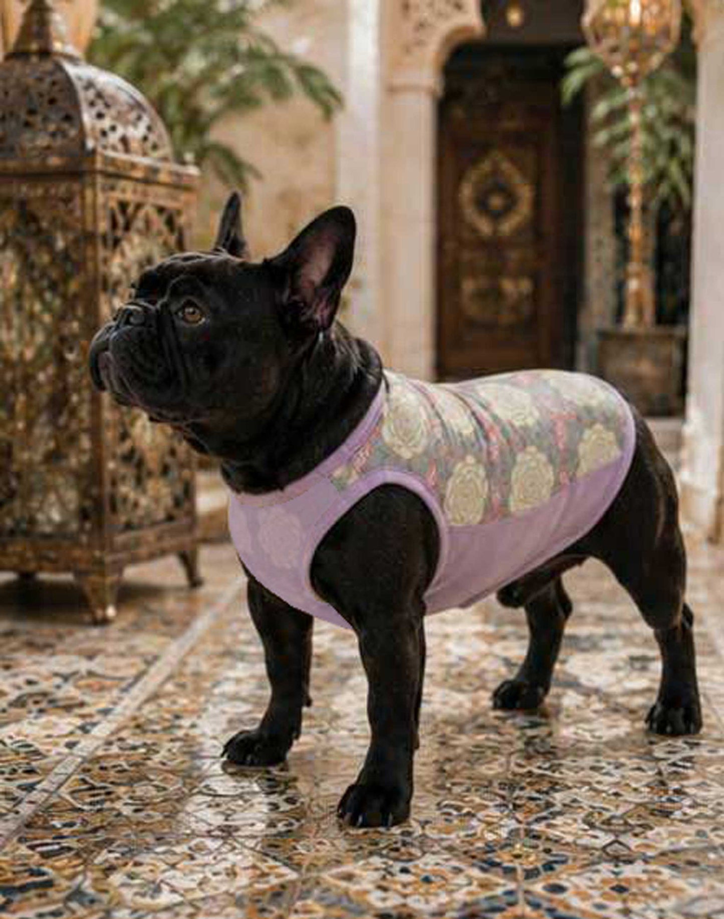 OHANA Tops◇RIO STYLE◇-dog resort wear-