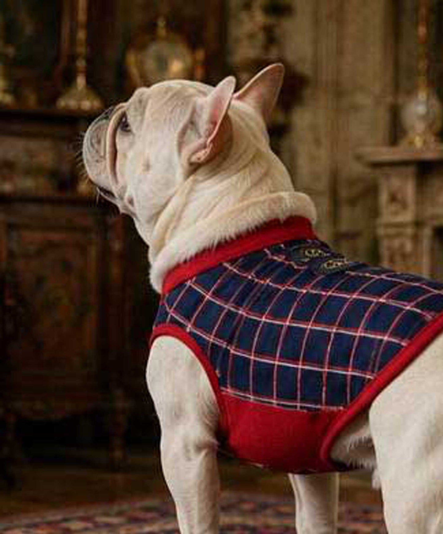 Windowpane Check Traditional Tops◇RIO STYLE◇-dog resort wear-