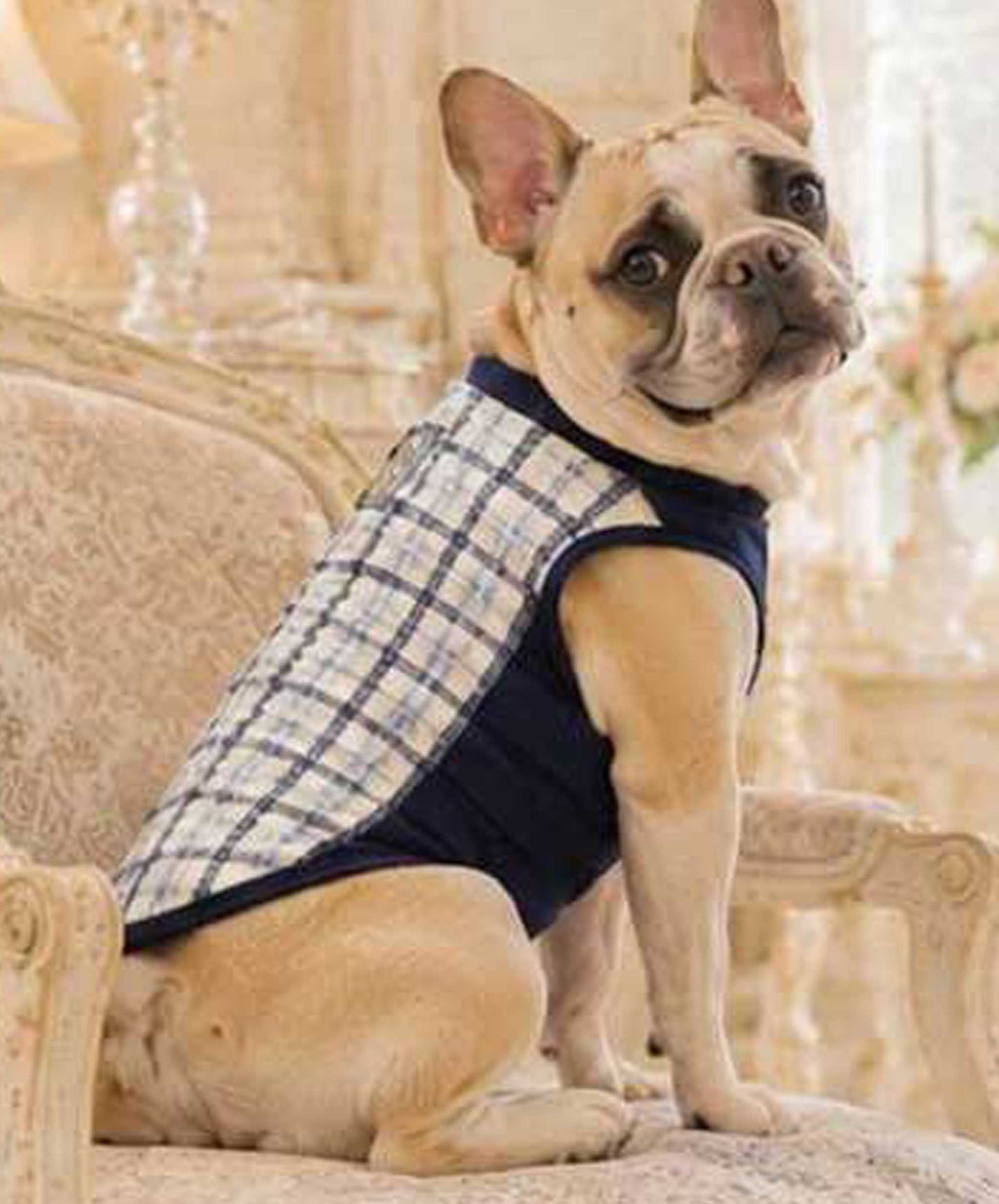 Windowpane Check Traditional Tops◇RIO STYLE◇-dog resort wear-