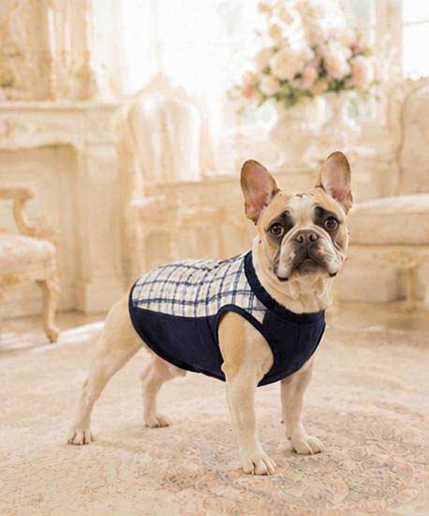 Windowpane Check Traditional Tops◇RIO STYLE◇-dog resort wear-