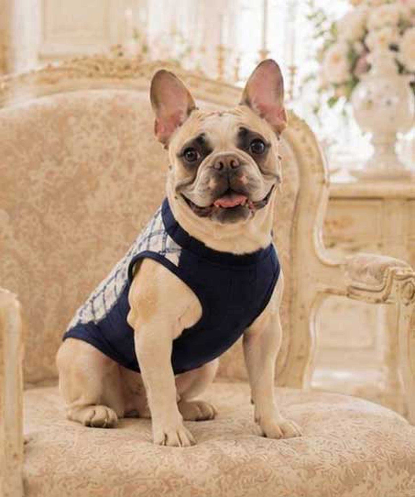 Windowpane Check Traditional Tops◇RIO STYLE◇-dog resort wear-