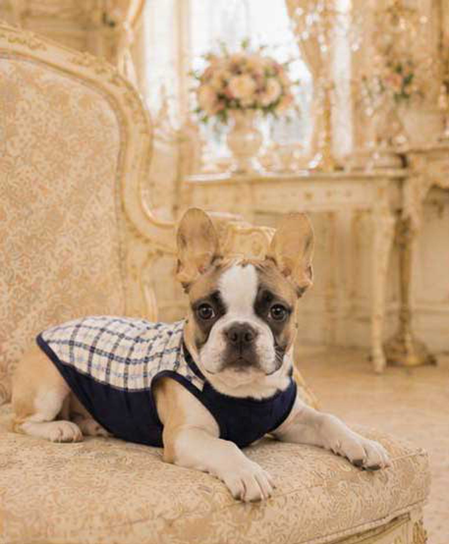 Windowpane Check Traditional Tops◇RIO STYLE◇-dog resort wear-