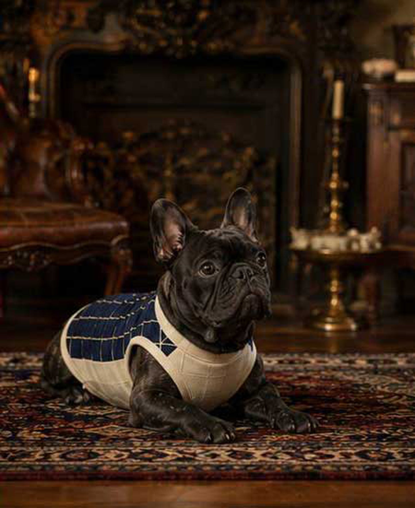 Windowpane Check Traditional Tops◇RIO STYLE◇-dog resort wear-