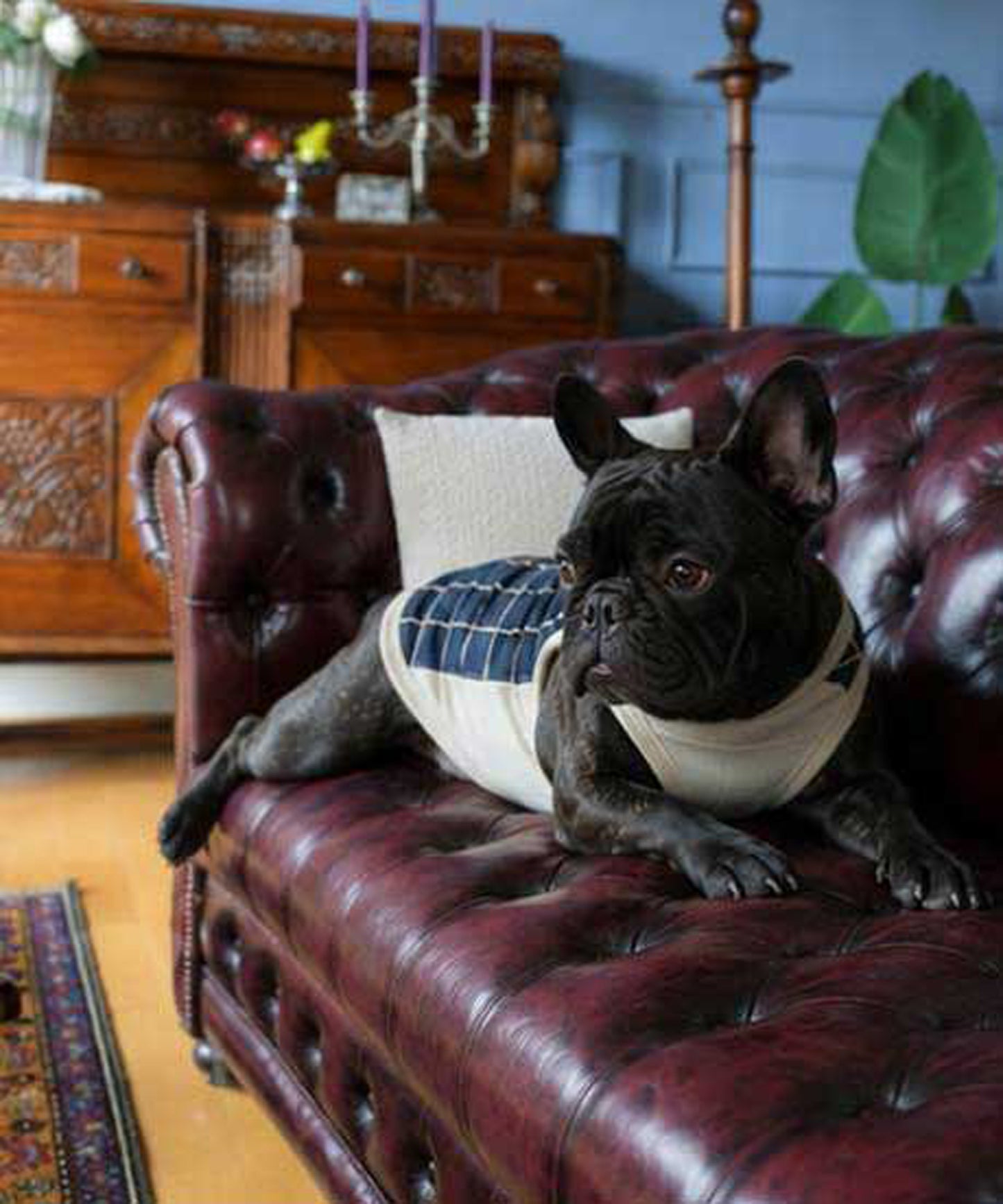 Windowpane Check Traditional Tops◇RIO STYLE◇-dog resort wear-
