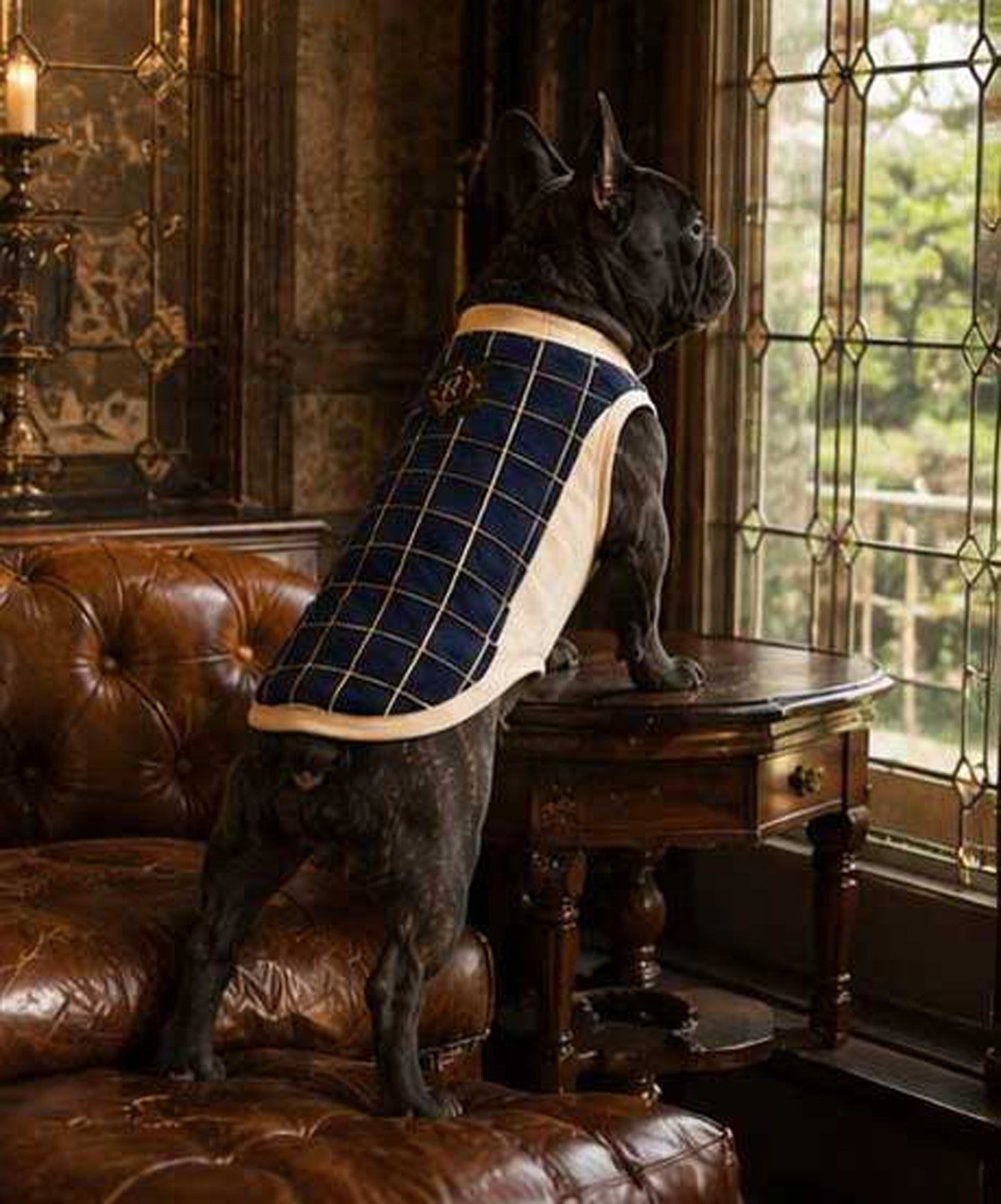 Windowpane Check Traditional Tops◇RIO STYLE◇-dog resort wear-