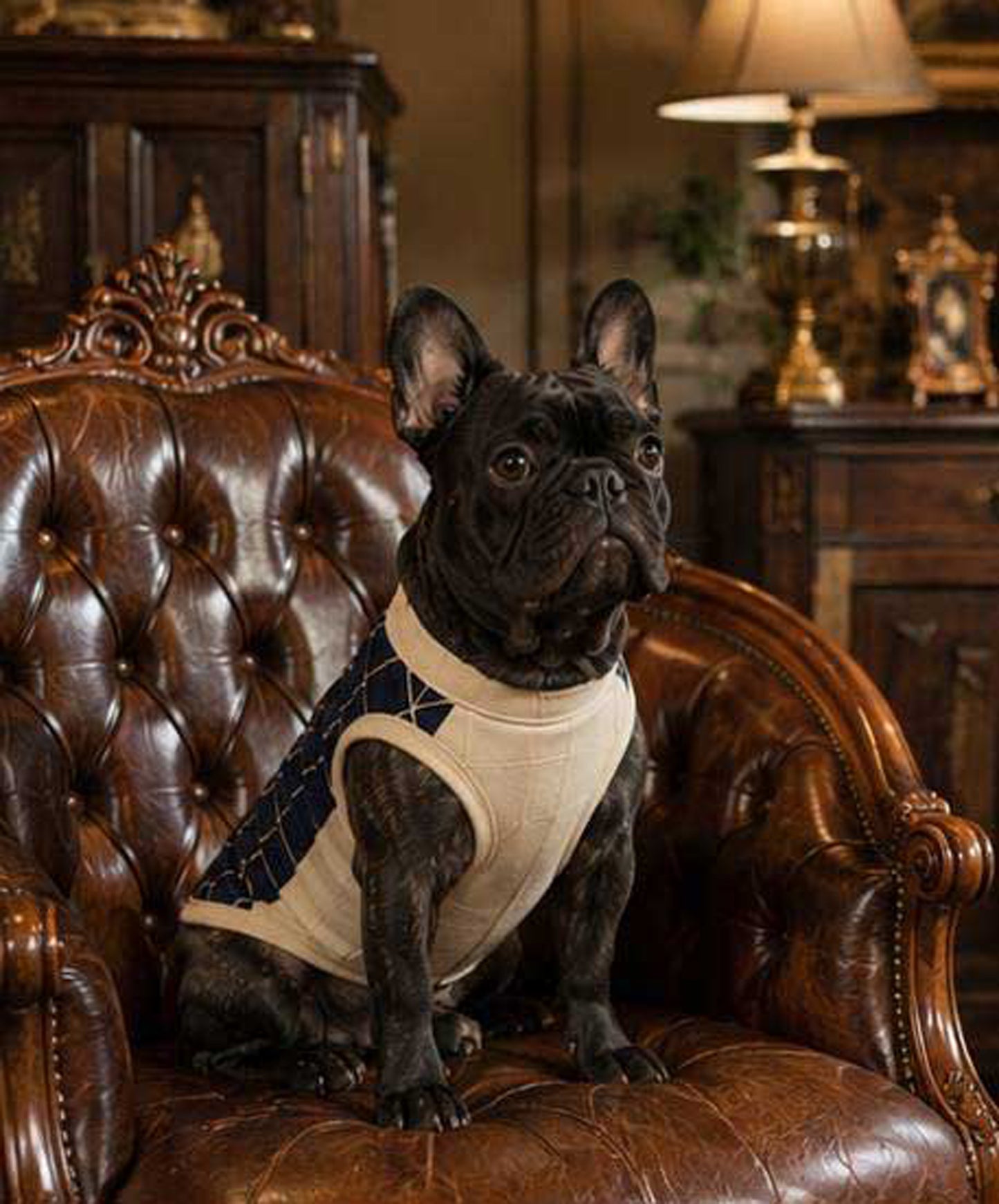 Windowpane Check Traditional Tops◇RIO STYLE◇-dog resort wear-