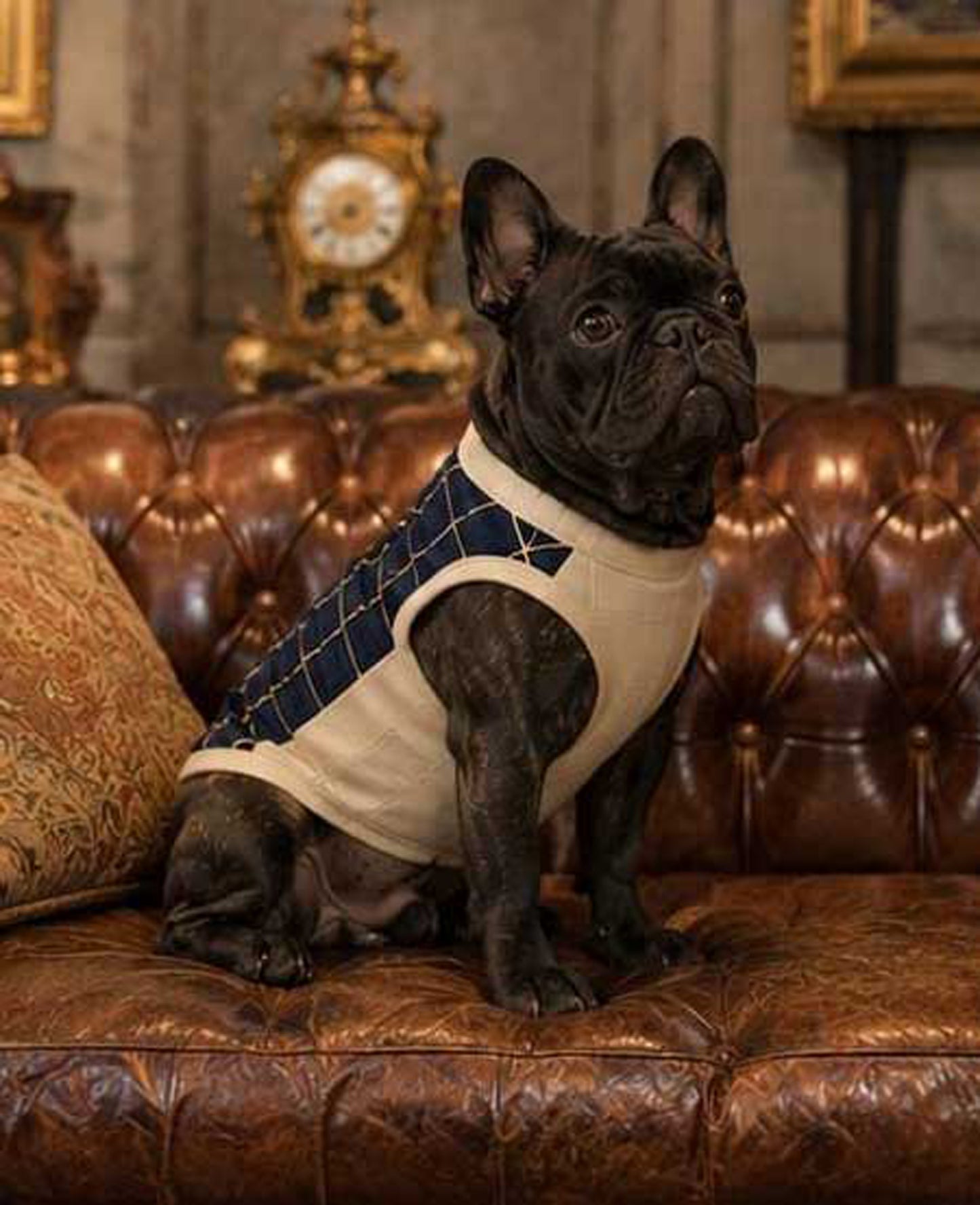 Windowpane Check Traditional Tops◇RIO STYLE◇-dog resort wear-