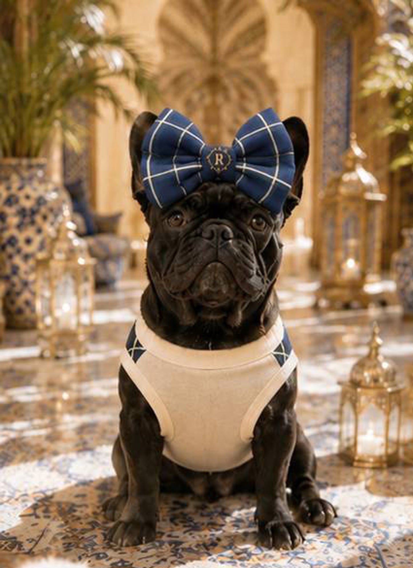 【7/24 NEW!!】Windowpane check RIBBON◇RIO STYLE◇-dog resort wear-