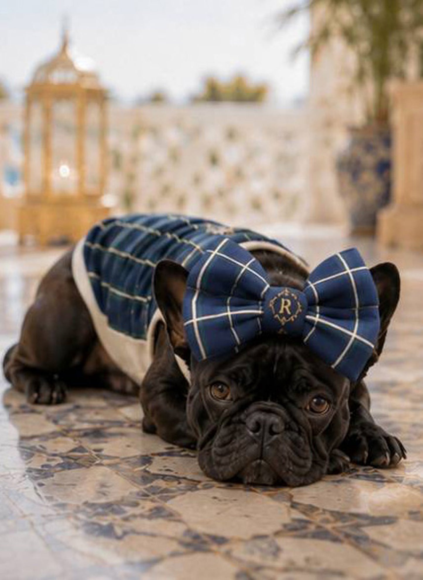 【7/24 NEW!!】Windowpane check RIBBON◇RIO STYLE◇-dog resort wear-