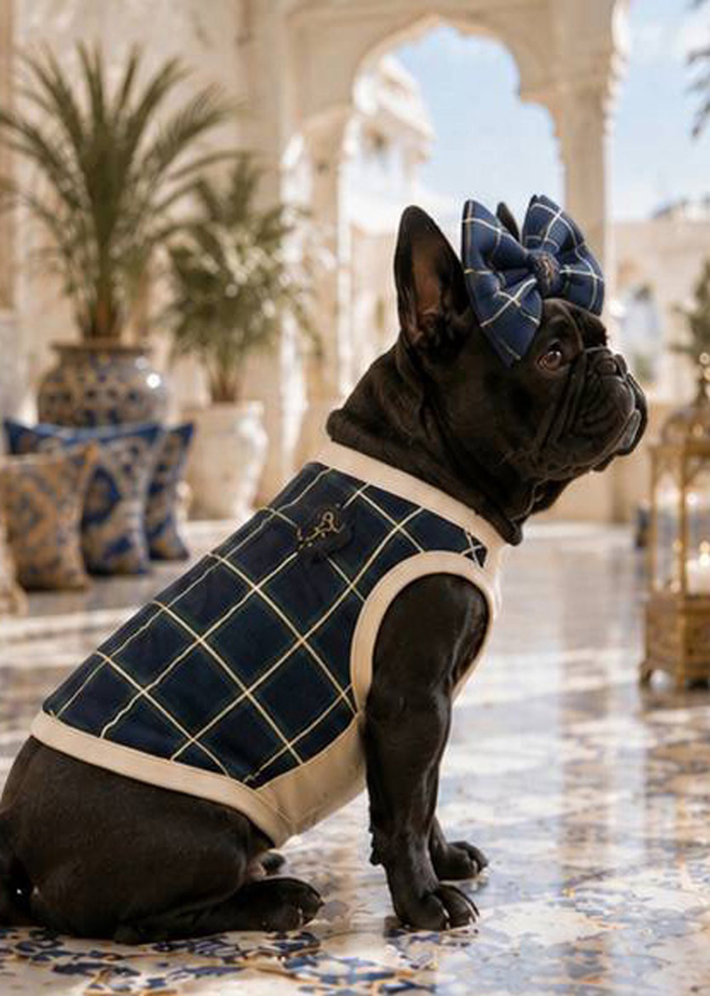 【7/24 NEW!!】Windowpane check RIBBON◇RIO STYLE◇-dog resort wear-