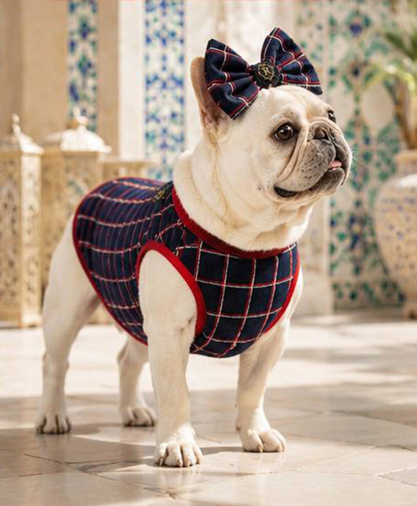 【7/24 NEW!!】Windowpane check RIBBON◇RIO STYLE◇-dog resort wear-