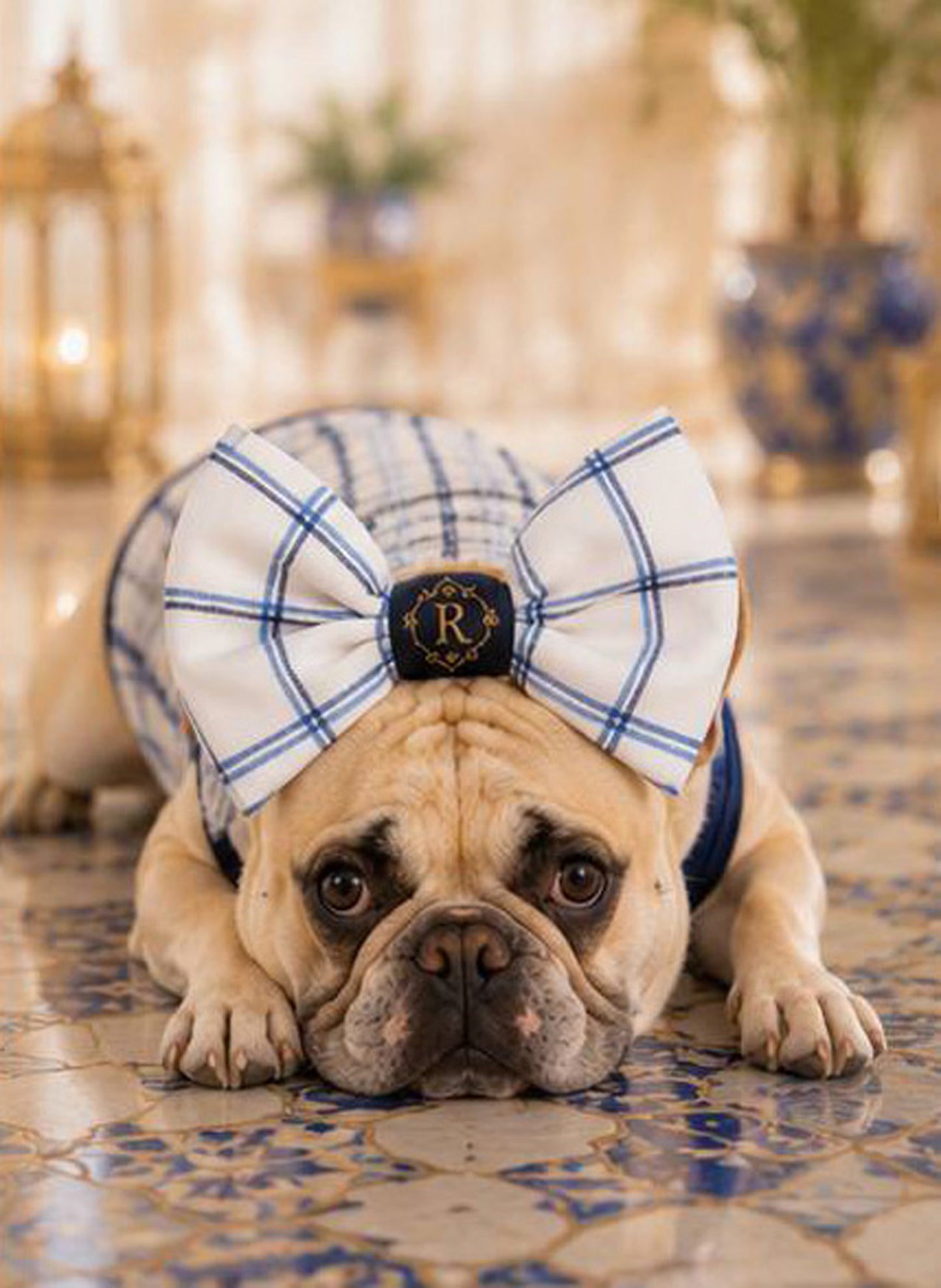 【7/24 NEW!!】Windowpane check RIBBON◇RIO STYLE◇-dog resort wear-