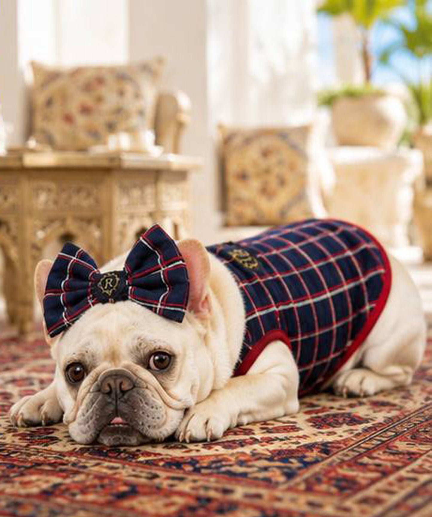 【7/24 NEW!!】Windowpane check RIBBON◇RIO STYLE◇-dog resort wear-