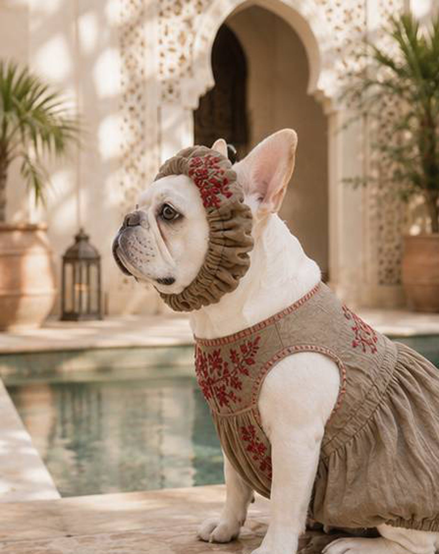 Flower Embroidary TOPS◇RIO STYLE◇-dog resort wear-