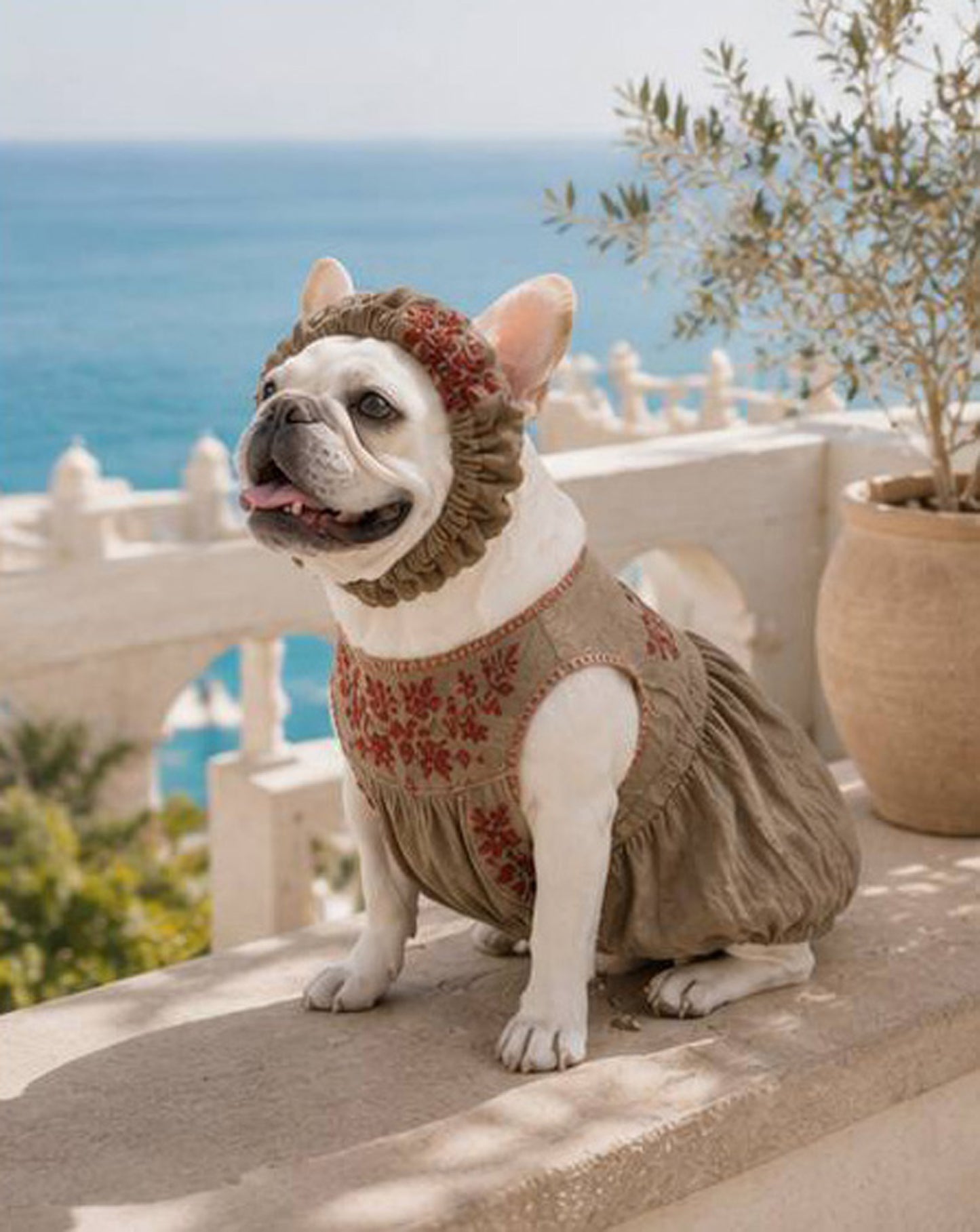 Flower Embroidary BAND◇RIO STYLE◇-dog resort wear-