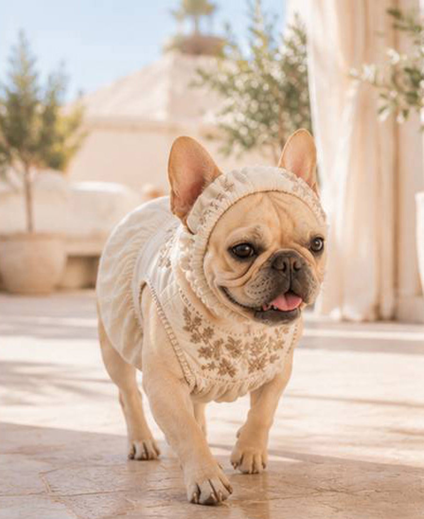 Flower Embroidary BAND◇RIO STYLE◇-dog resort wear-