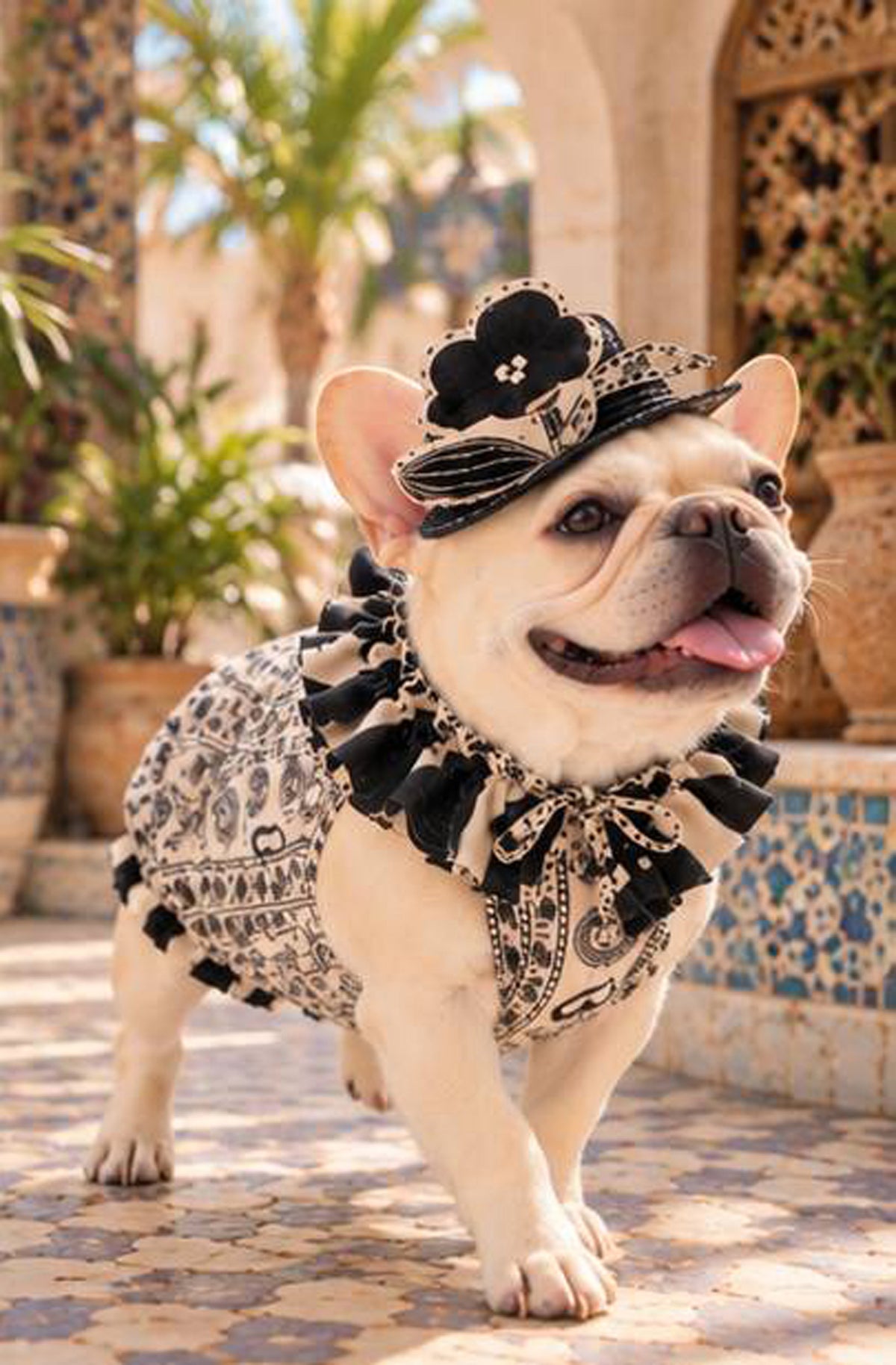 【9/7 NEW!!】Monotone ribbon FLOWER HAT◇RIO STYLE◇-dog resort wear-