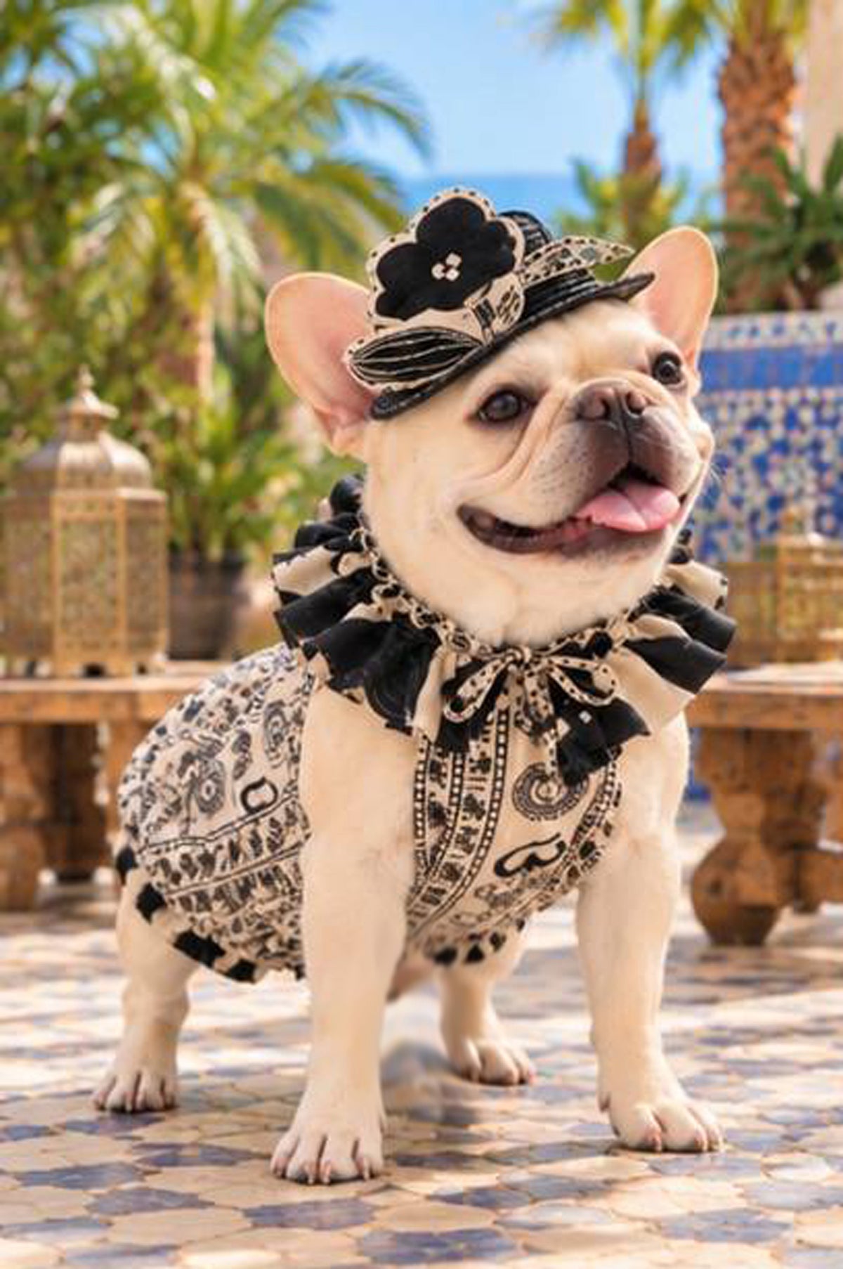 【9/7 NEW!!】Monotone ribbon FLOWER HAT◇RIO STYLE◇-dog resort wear-